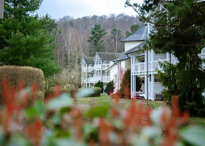 Duenenpark - Komfortplus Mit 1 Schlafzimmer Und Balkon Im Obergeschoss 230 Lejlighed *